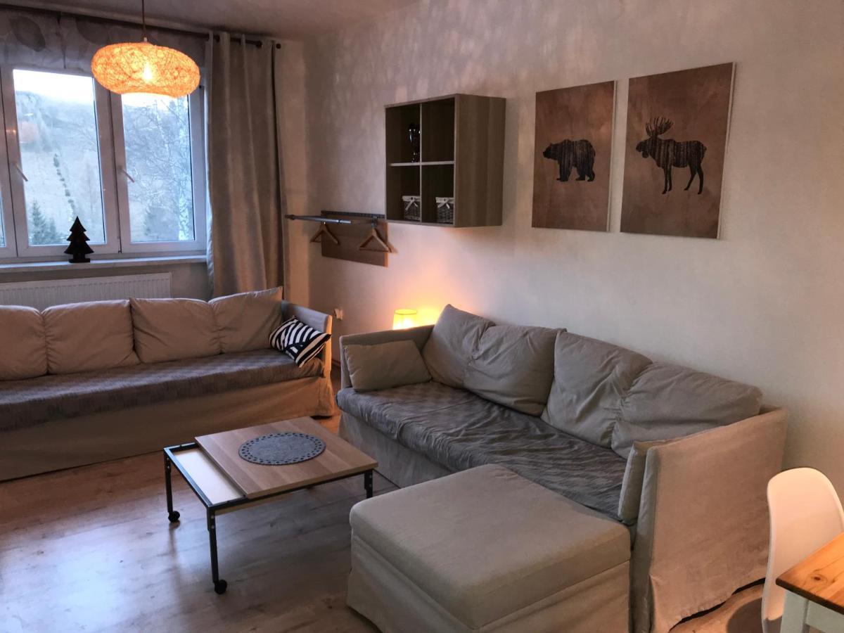 Apartman Orlicke Zahori Экстерьер фото