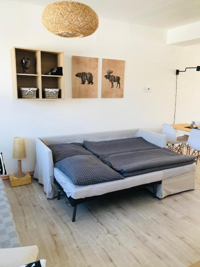 Apartman Orlicke Zahori Экстерьер фото
